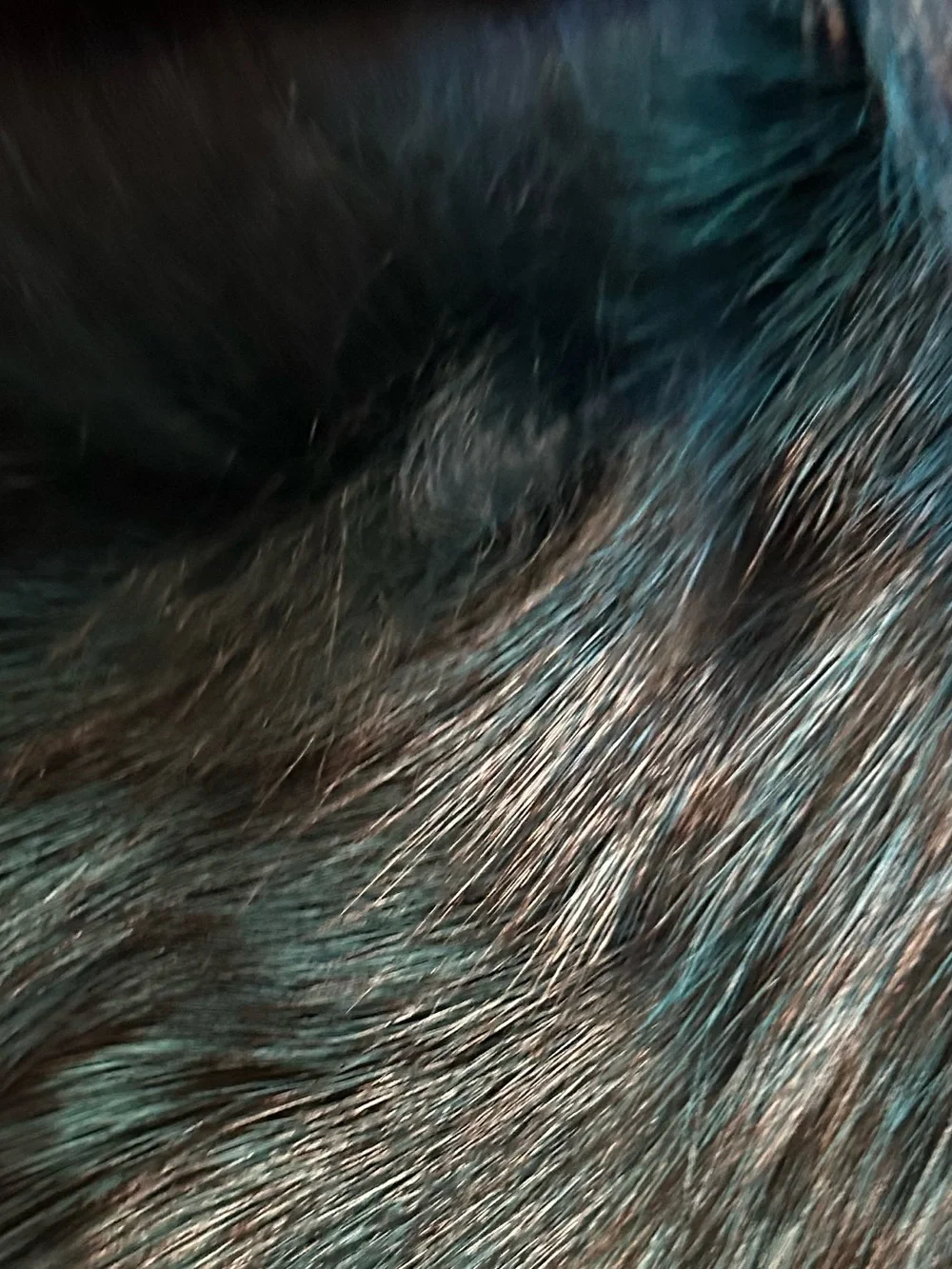 Greenish & Black Color Fox Fur Pillow Covers Real Fur Faux Suede Back Like New